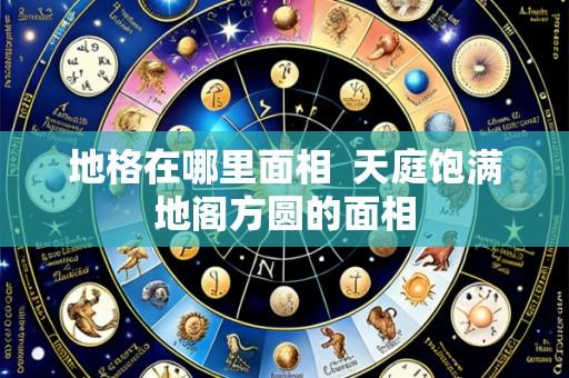 地格在哪里面相 天庭饱满地阁方圆的面相