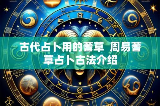 古代占卜用的蓍草 周易蓍草占卜古法介绍