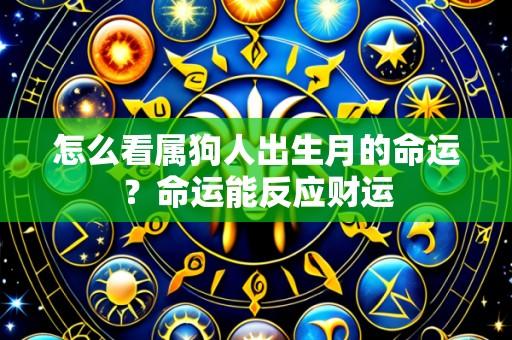 怎么看属狗人出生月的命运?命运能反应财运