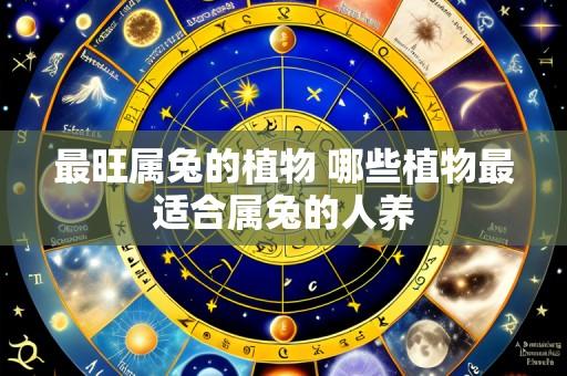 最旺属兔的植物 哪些植物最适合属兔的人养