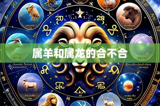 属羊和属龙的合不合