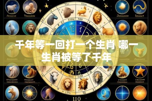 千年等一回打一个生肖 哪一生肖被等了千年