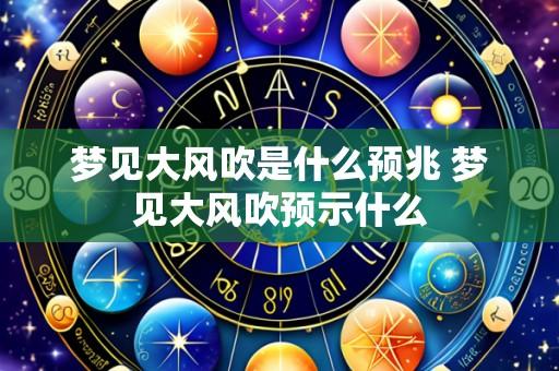 梦见大风吹是什么预兆 梦见大风吹预示什么