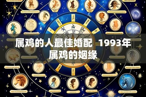 属鸡的人最佳婚配  1993年属鸡的姻缘