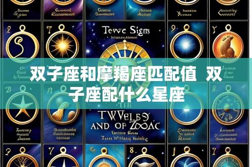 双子座和摩羯座匹配值 双子座配什么星座