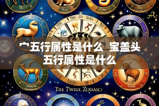 宀五行属性是什么 宝盖头五行属性是什么