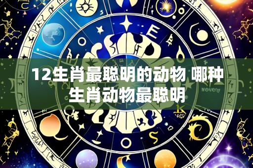 12生肖最聪明的动物 哪种生肖动物最聪明