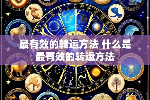 最有效的转运方法 什么是最有效的转运方法