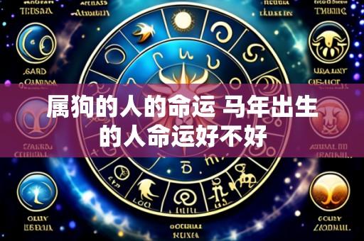 属狗的人的命运 马年出生的人命运好不好