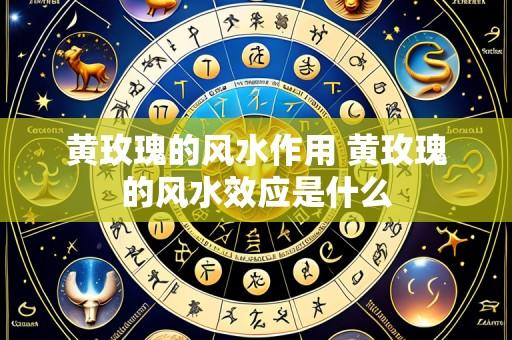 黄玫瑰的风水作用 黄玫瑰的风水效应是什么