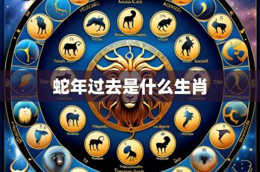 蛇年过去是什么生肖