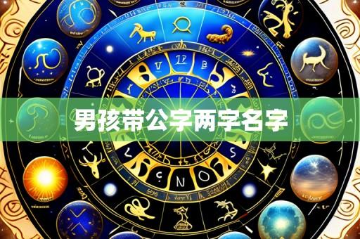 男孩带公字两字名字