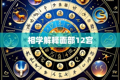 相学解释面部12宫