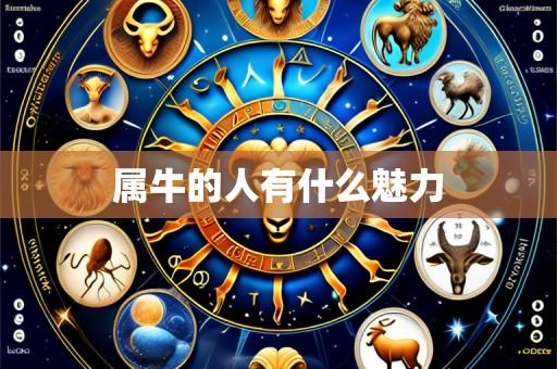 属牛的人有什么魅力