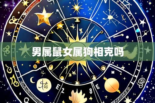 男属鼠女属狗相克吗
