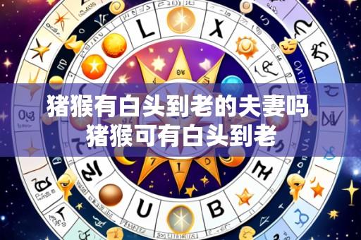 猪猴有白头到老的夫妻吗 猪猴可有白头到老