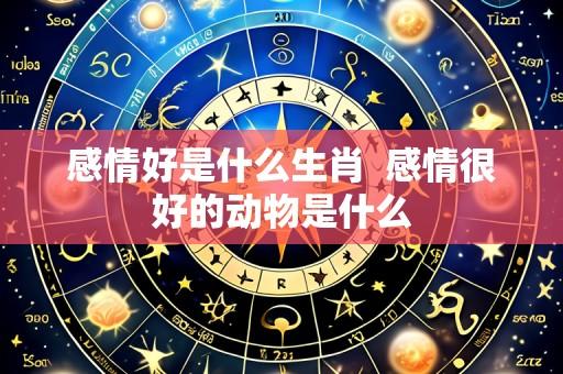 感情好是什么生肖  感情很好的动物是什么