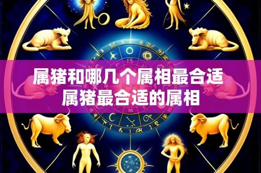属猪和哪几个属相最合适 属猪最合适的属相