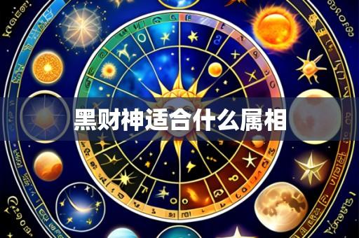 黑财神适合什么属相