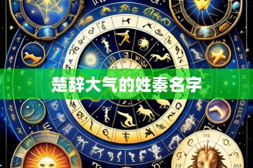 楚辞大气的姓秦名字