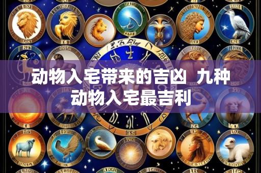 动物入宅带来的吉凶 九种动物入宅最吉利