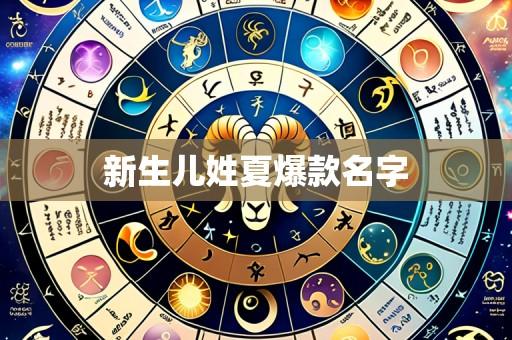 新生儿姓夏爆款名字