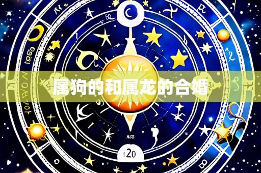 属狗的和属龙的合婚