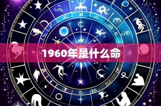 1960年是什么命