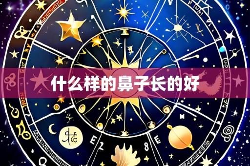 什么样的鼻子长的好