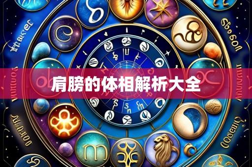 肩膀的体相解析大全
