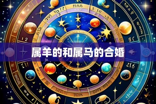 属羊的和属马的合婚