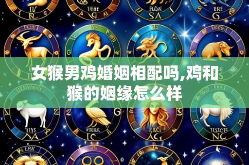 女猴男鸡婚姻相配吗,鸡和猴的姻缘怎么样