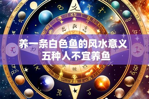养一条白色鱼的风水意义 五种人不宜养鱼