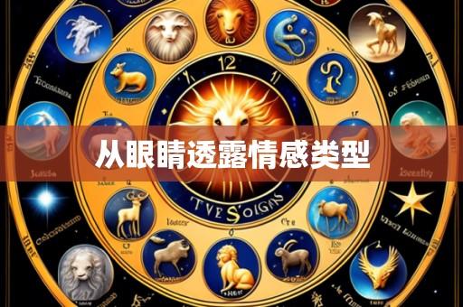 从眼睛透露情感类型