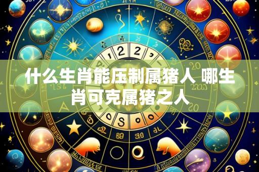什么生肖能压制属猪人 哪生肖可克属猪之人