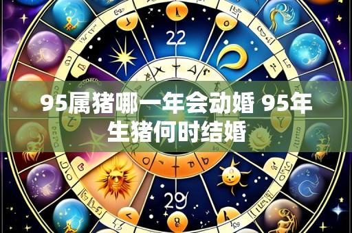 95属猪哪一年会动婚 95年生猪何时结婚