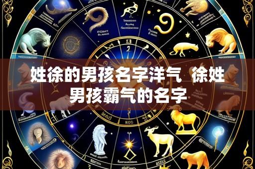 姓徐的男孩名字洋气 徐姓男孩霸气的名字