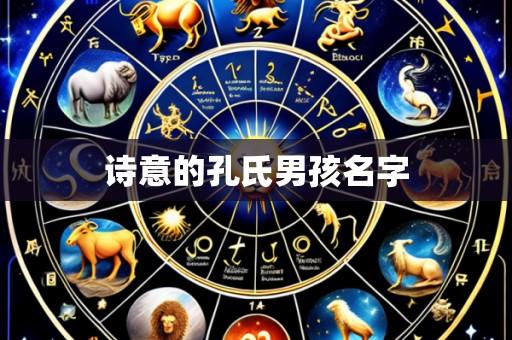 诗意的孔氏男孩名字