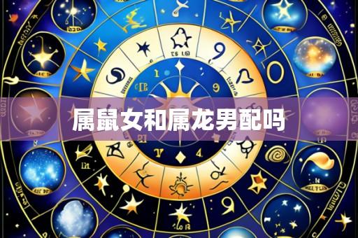 属鼠女和属龙男配吗