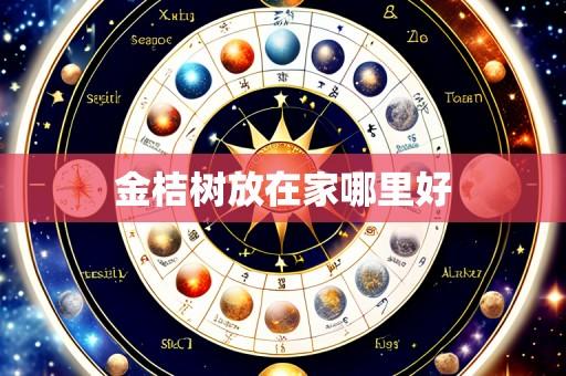 金桔树放在家哪里好