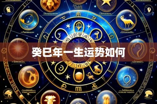 癸巳年一生运势如何