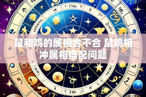 鼠和鸡的属相合不合 鼠鸡相冲属相搭配问题