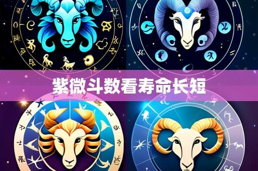 紫微斗数看寿命长短