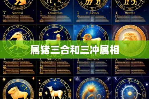 属猪三合和三冲属相
