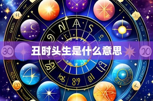 丑时头生是什么意思