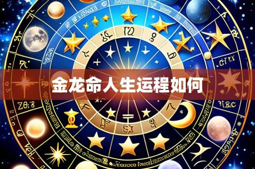 金龙命人生运程如何