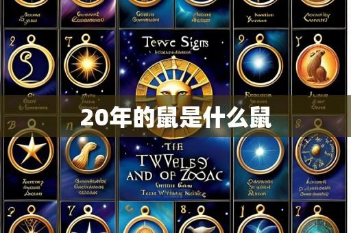 20年的鼠是什么鼠