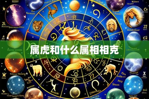 属虎和什么属相相克