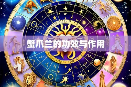 蟹爪兰的功效与作用