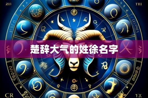楚辞大气的姓徐名字